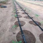 Watering&irrigation System Farm Garden Agriculture diameter 16mm Pipe Hose Drip