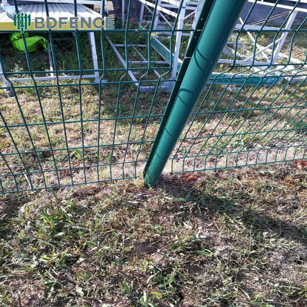 Escape-Proof V Mesh Fence - Weather-Resistant & Poultry-Friendly