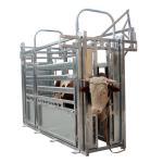 Galvanized Steel Fence Cow Ring Hot Galvanized Livestock Fencing Squeeze Chute