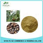 50 % - 98 % Tea Saponins Camellia Oleifera Seed Extract