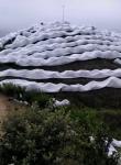 Hydrobilic Agriculture Non Woven Fabric PP Winter Protection No Pollution For