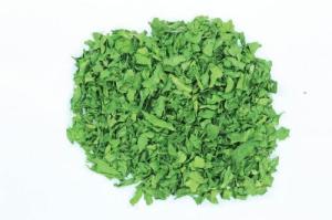 Wholesale Dried Spinach from china suppliers