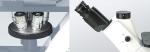 Medical Hospital Inverted Biological Microscope For Live Cell Inspection
