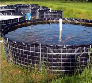 Wholesale Smooth Surface PVC Geomembrane Liner Thickness 0.2~3mm For Shrimp Fish Feeding from china suppliers
