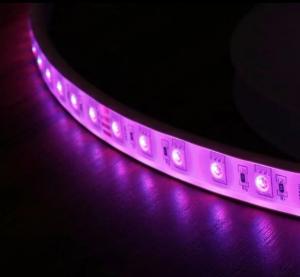 China 14.4W/M IP68 RGB Color Changing LED Strip Lights For Marine Lighting on sale