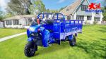 Motorized 800 W DAYANG 300 Petrol 3 Wheel Motorcycle and Tricycle for Heavy