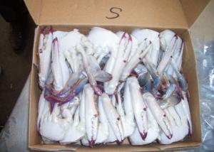 Wholesale Portunus Crab Blue Swimming Crab , Half Cutted Sea Crab Iso Brc Certification from china suppliers