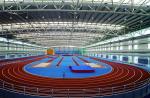 Various Shapes Sizes Commercial Steel Frame Building For Stadium Sports Hall