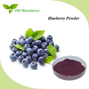 China Anti Aging Fruit Vegetable Powder Supplement Soluble Blueberry Fruit Powder on sale