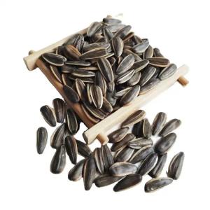 Wholesale Amazon hot sale Sell high-quality sunflower seed raw materials that meet Egypt's import requirements from china suppliers