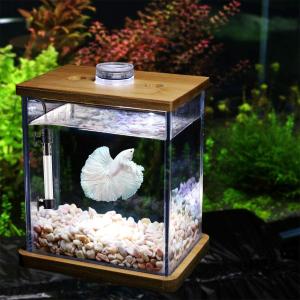 Wholesale 50 Watt Adjustable Submersible Heater For Turtle from china suppliers