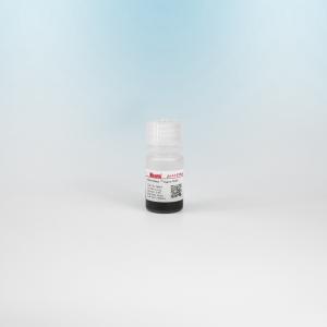 Wholesale BeaverBeads DEAE Magnetic Beads Protein Purification With Fast Magnetic Response from china suppliers