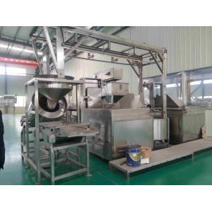 Batch Multi Flavored Peanut Frying Processing Line Automatic Streamlined