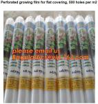 Polyethylene Commercial Tunnel Greenhouse Film for Tomato Planting 200micron