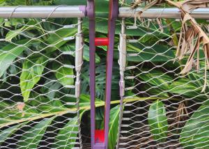 Wholesale 1.2mm Ferrule Cable Mesh Garden Security Plant Climbing 50*50 Mm Hole from china suppliers