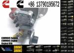 Excavator Parts Diesel Engine Fuel Injection Pump ISM QSM Fuel Pump 3417675