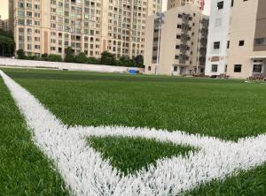Wholesale Dtex Stem Shape Artificial Football Turf For Disease Resistance from china suppliers