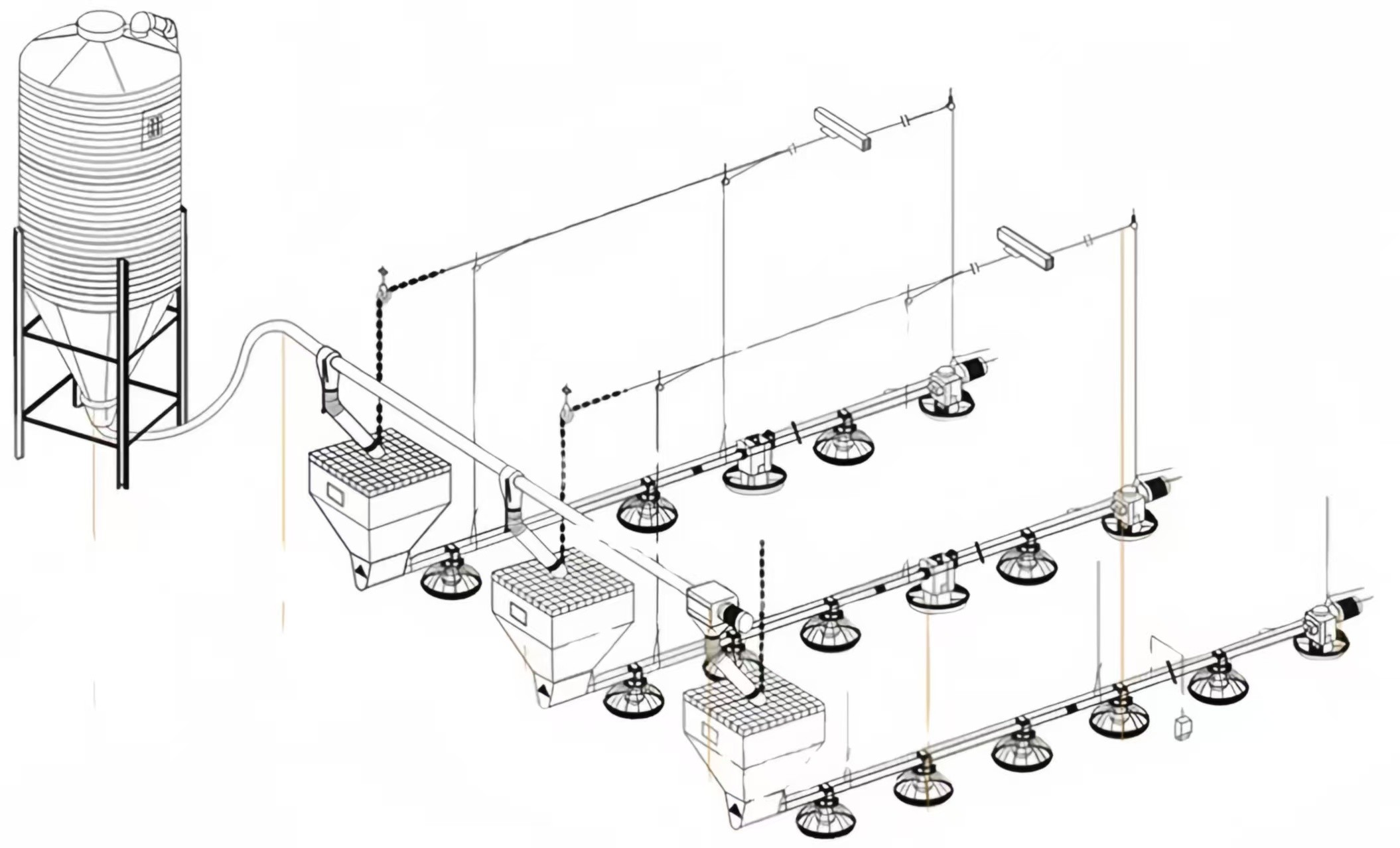 Broiler Breeder Raising Growing Equipment System Plant Line Layer Floor Farming Poultry Chicken House