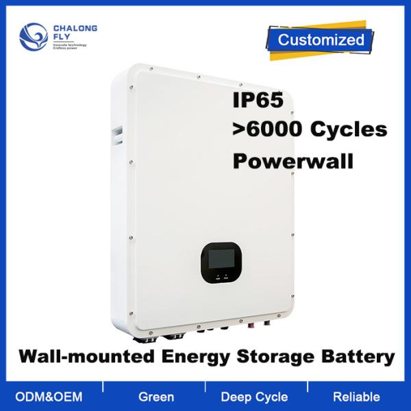 OEM ODM LiFePO4 lithium battery Household Powerwall Energy Storage System