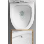 One Piece Bathroom Ceramic Toilet 4.2 / 6L Dual Siphon Flushing Floor Mounted