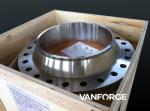 SS Machined Forged Steel Flange , Stainless Steel Welding Neck Flange For
