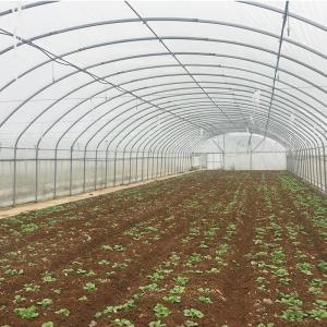 China Optimal Plant Cultivation Tunnel Greenhouse Covered with 150/200micro PO Film on sale