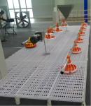 Fully Automatic Animal Feeders Plastic Chicken Feeders And Drinkers