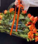 Pet Transparent Box Bag for Flower Unique Gift for Special Occasions Other Gift