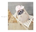 Hot sale Fashion canvas backpack