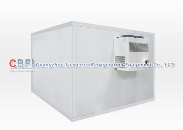 Adjusted Temperature Medical Cold Room / Cold Storage Freezer Convenient