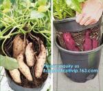 Green Gardening Supplies Simple Double Color Plastic,seeding nursery pots with