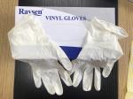 Medical Stretch Creamy Powder Free Vinyl Gloves 240mm Length 5 Years Shelf Life