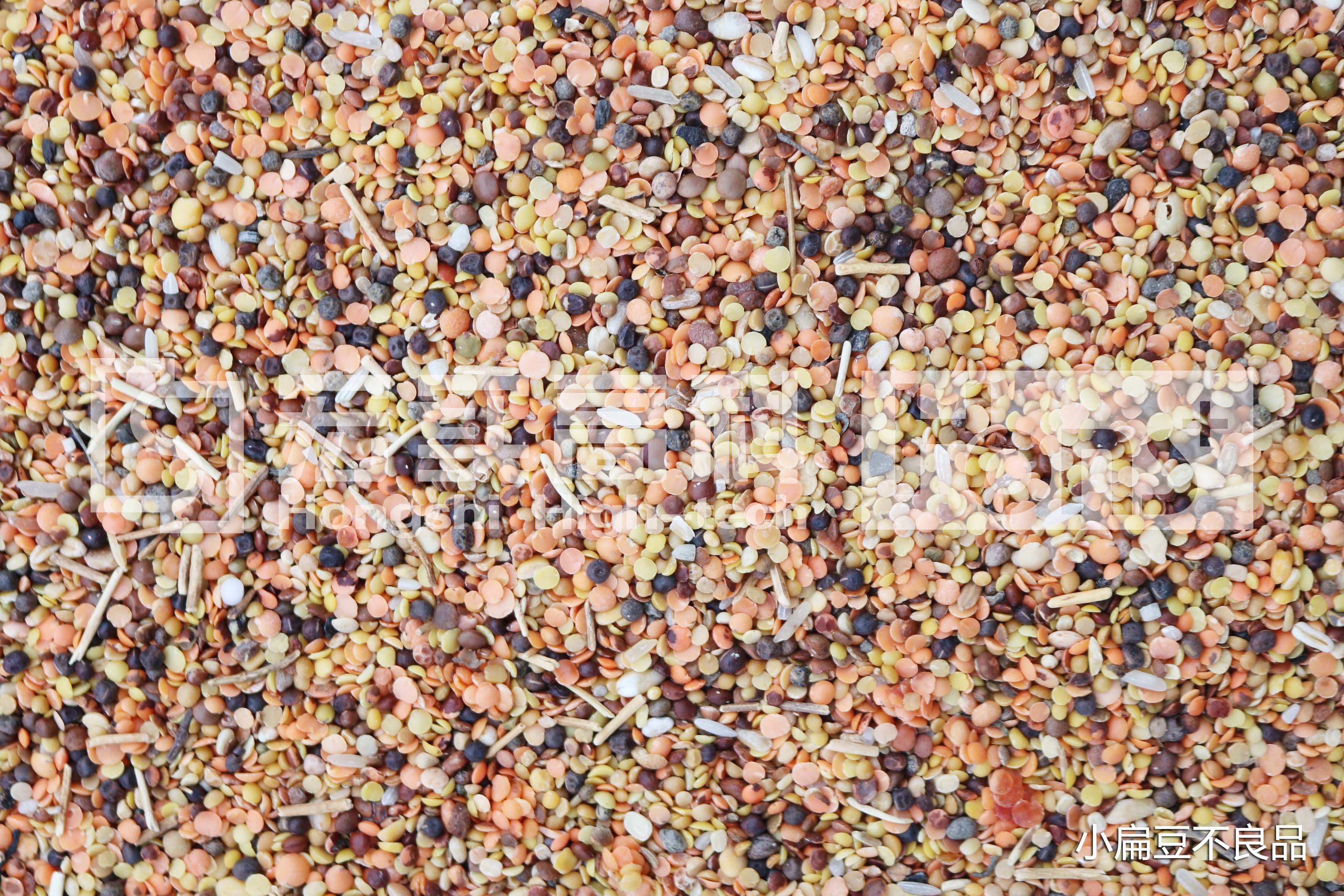 Four chutes high quality PLC grains color sorter with RGB camera