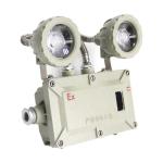 Outdoor Explosion Proof Emergency Lights IP66 36 Vac 2*5W Emergency Lamps