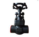 A105N 1500LB ANSI forge gate valve manufacturer