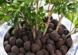 Wholesale Aquaponic Hydroponic Clay Balls Customized Size Low Energy Consumption from china suppliers