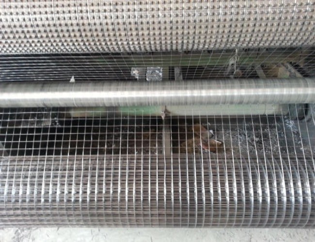 1/2''X 1/2'' Stainless Steel Welded Mesh Rolls For Breeding Protection High Strength