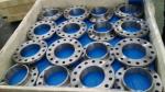 ASME B16.5 Duplex Stainless Steel Flanges 254SMO Loose Flange With Plain Collar