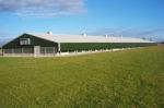 Anti Corrosive Galvanized Full Antomatic Poultry Farm Shed Bird House Prefabrica