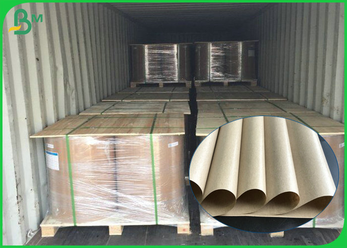 pe coated paper