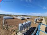 Onsite Inspection Piggery Shed Metal Farm Equipment Buildings