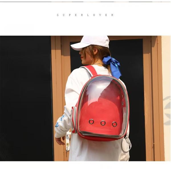 Explore the Great Outdoors with Your Furry Friend in Our Dual Strap Transparent Cat Backpack Comfortable and Portable