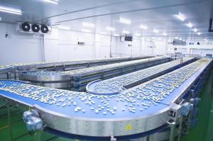 Wholesale Independent Controlled Cup Cake Cooling Multi Way Curved Belt Conveyor from china suppliers
