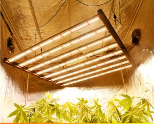 Wholesale Foldable Full Spectrum 640W LED Grow Light Bar For Indoor Plants Seedling Germinating from china suppliers