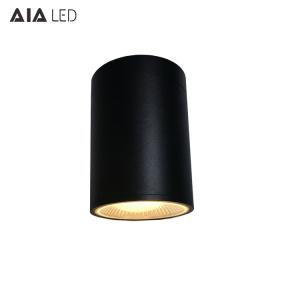 Wholesale IP65 waterproof contemporary cylinder ceiling mounted 15W COB LED downlight&amp;outdoor LED down lamp from china suppliers