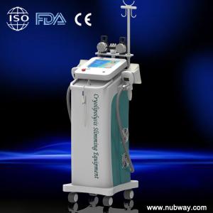 Wholesale Freeze Cryolipolysis Slimming Machine Touch Color Screen For Spa from china suppliers