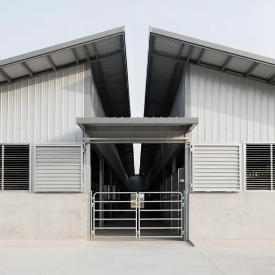 Automatic Broiler Cage with Detachable Structure, Adjustable Supporting Frame, and Hot-Dip Galvanized Steel for Poultry Farming