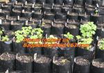 Poly Planter, Grow Bag, garden bags, grow bags, hanging plant bags, planters,