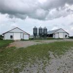 Weld Bolt Metal Chicken Coop Farm House Equipment CE Certificate