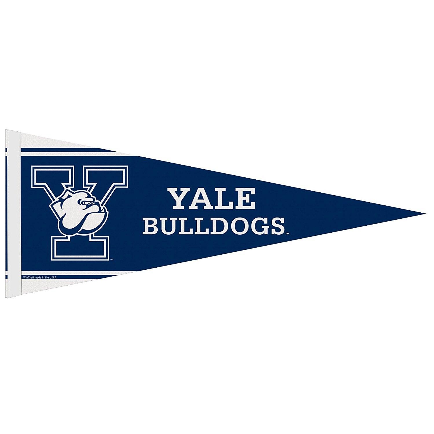 150D Polyester Custom Felt Pennant For Grand Opening Birthday Events